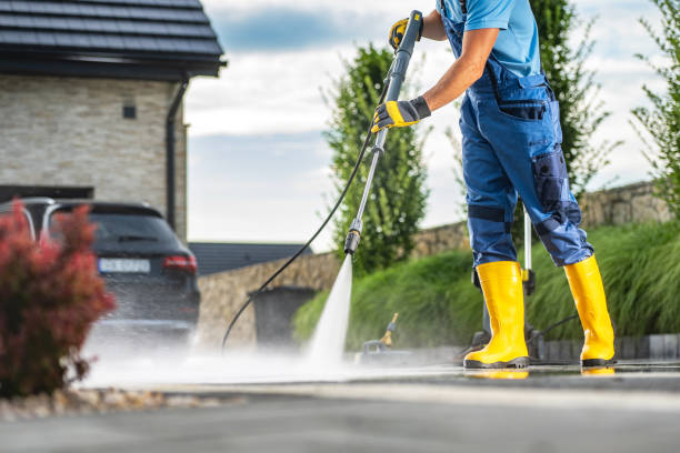 Best Roof Cleaning and Mildew Removal in Sun Prairie, WI